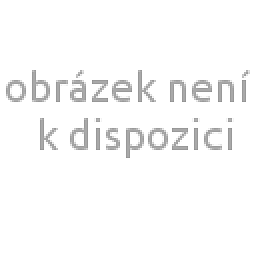 Obrázek pro produkt Čočka pro pulzní lasery s ohniskovou vzdáleností F254 ( pro 200 a 300W lasery )