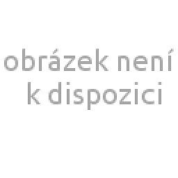 Obrázek pro produkt Čočka pro pulzní lasery s ohniskovou vzdáleností F330 ( pro 200 a 300W lasery )